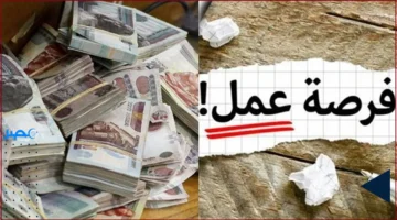 وظائف الكهرباء القيادية 2025: شروط التقديم والمستندات المطلوبة بشفافية كاملة